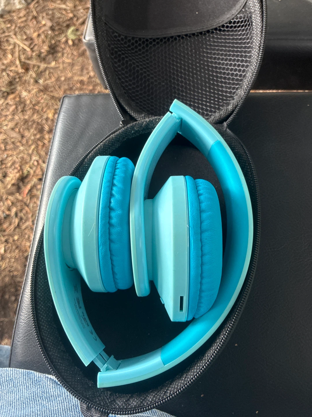 Blue Foldable Headphones with Case
