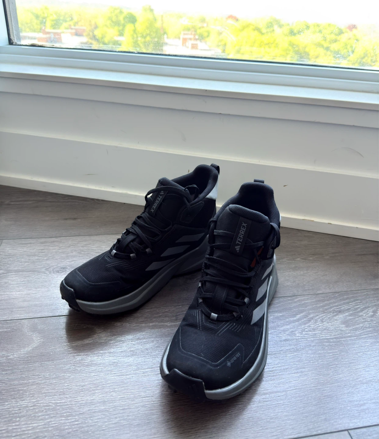 Adidas Terrex Gore-Tex Hiking Shoes