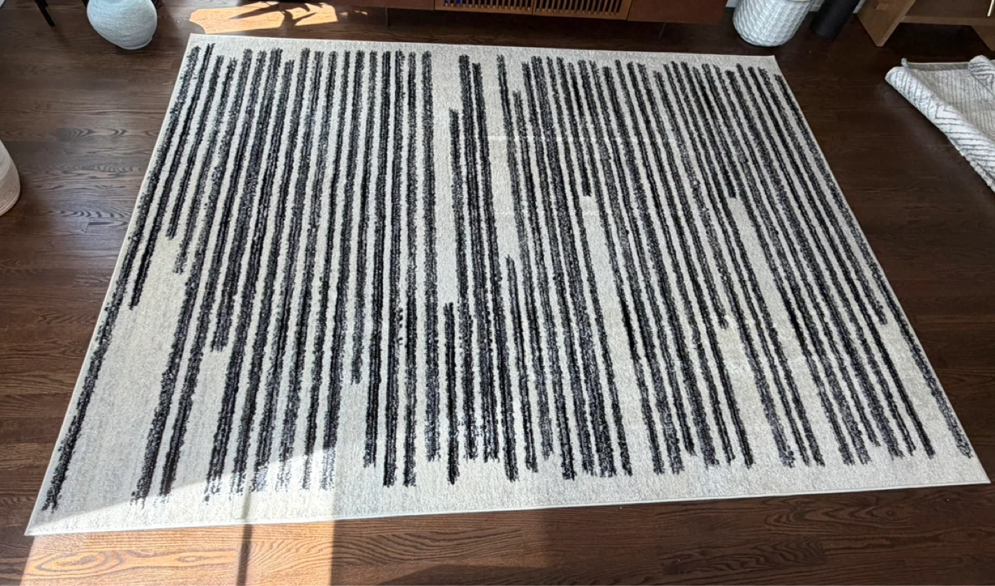 8x10 Area Rug