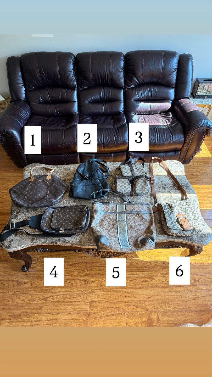 Moving Sale. Luxury bag Gucci, LV, Coach