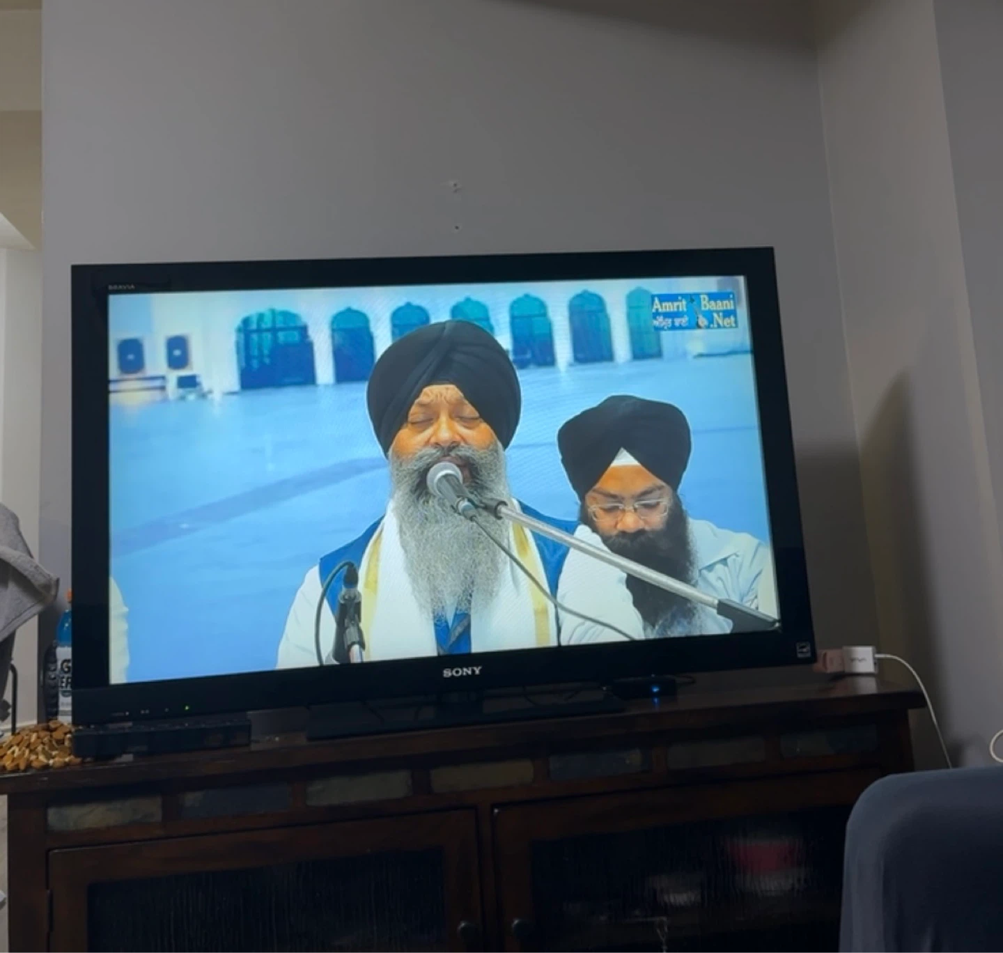 Sony BRAVIA TV
