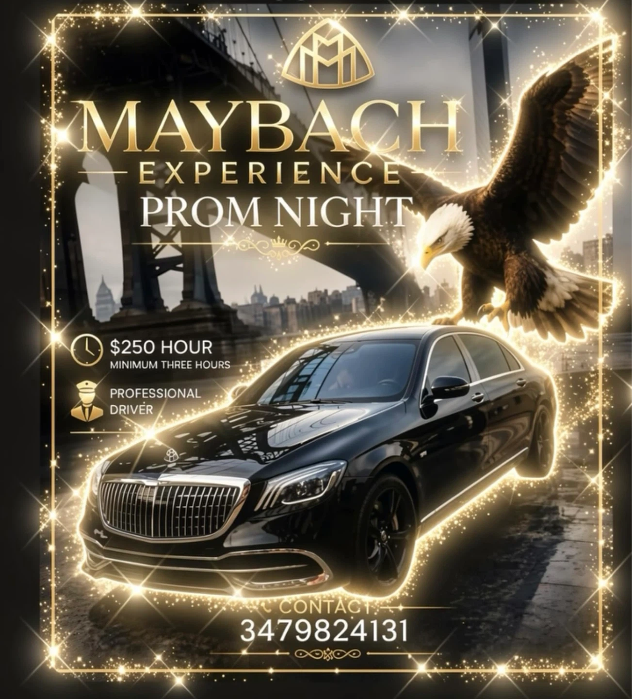 Maybach Experience Prom Night Car Service - photo 2
