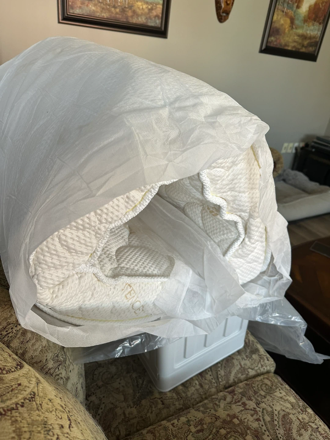 Springwell Crib Mattress