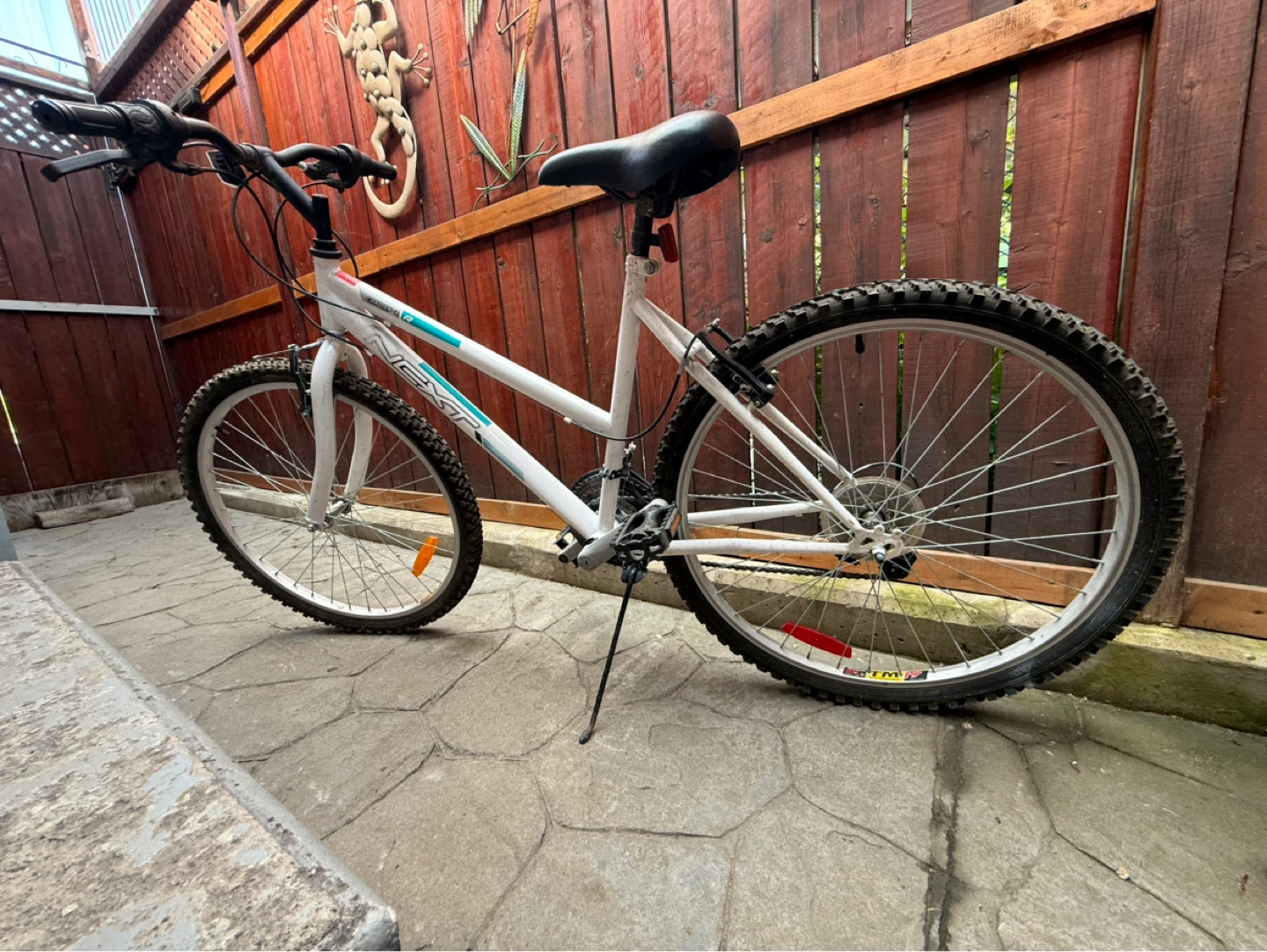 Next challenge bike