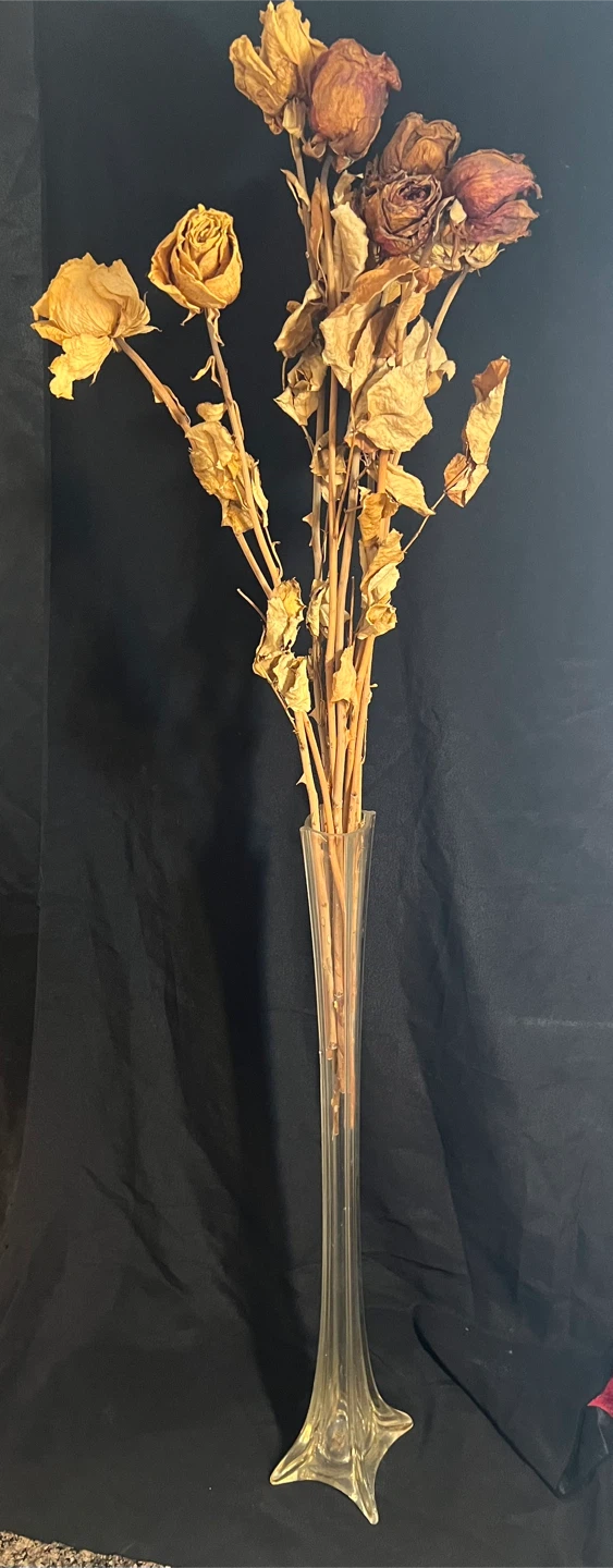 27” Tall Clear Glass Vase with Dried Roses