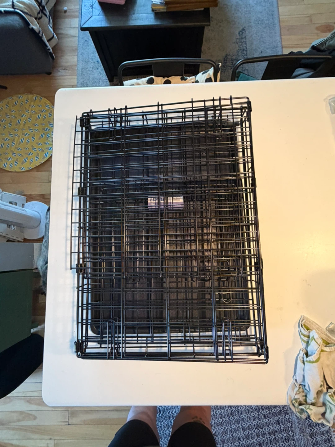 MidWest iCrate Dog Crate 24 inch - photo 5