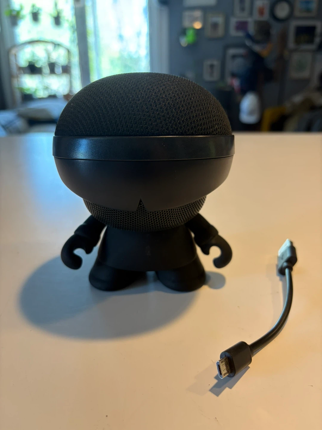 Black Mini Speaker with USB Cable