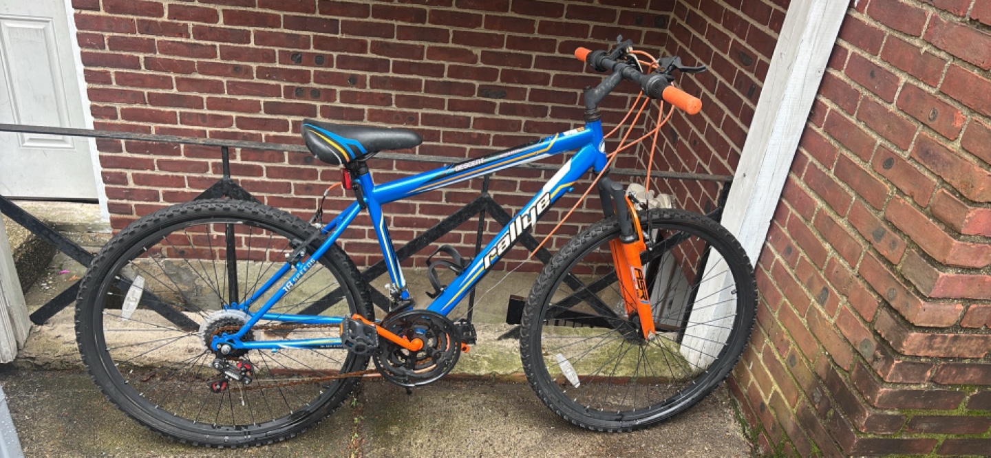 Raleigh Descent Mountain Bike