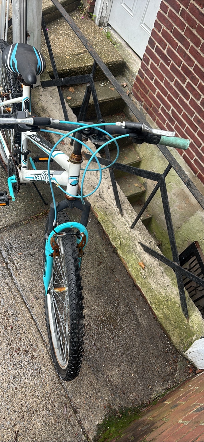 Rallye Mountain Bike - photo 2