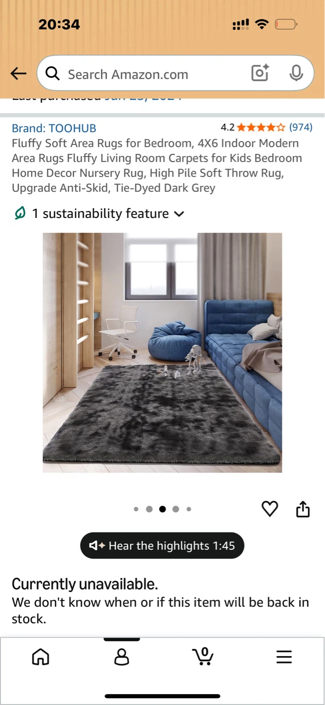 Black & Grey Fluffy Soft Area Rug, 4x6 Indoor Modern
