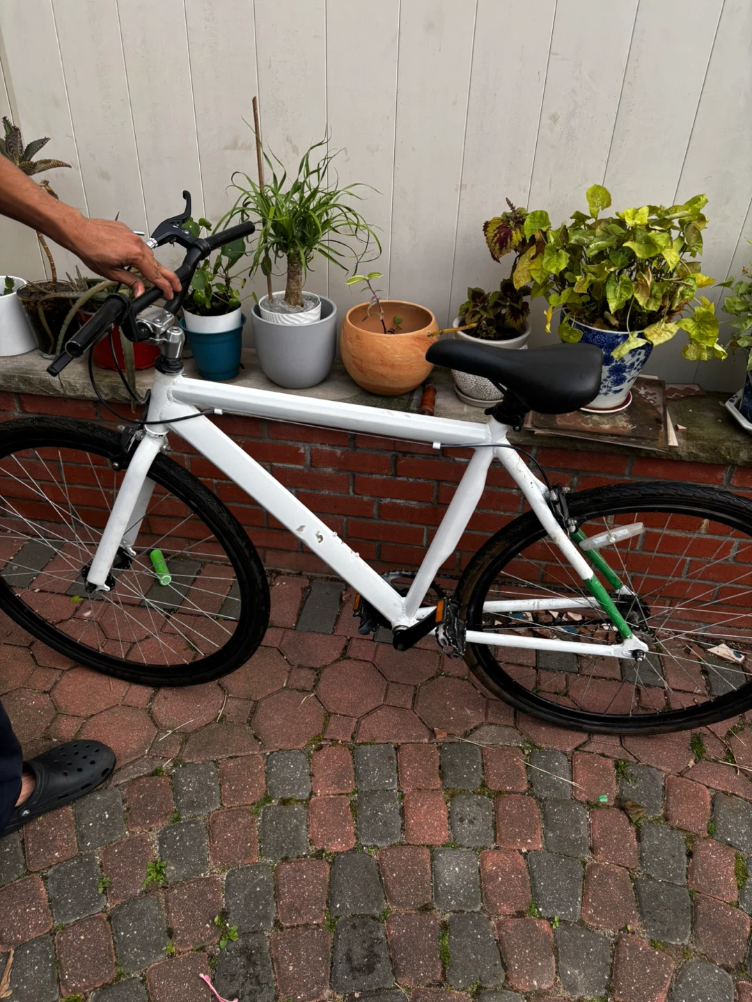 Fixie/road bike