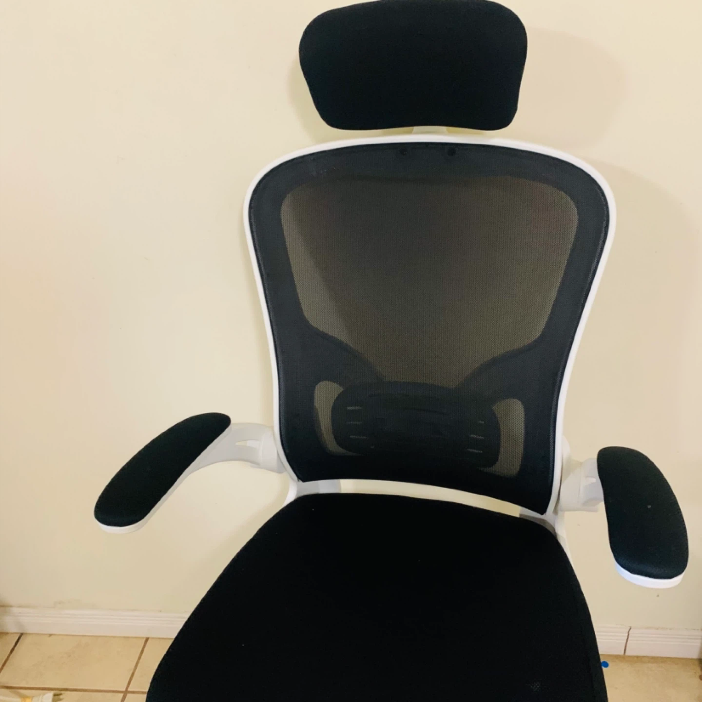 Ergonomic Mesh Office Chair with Headrest