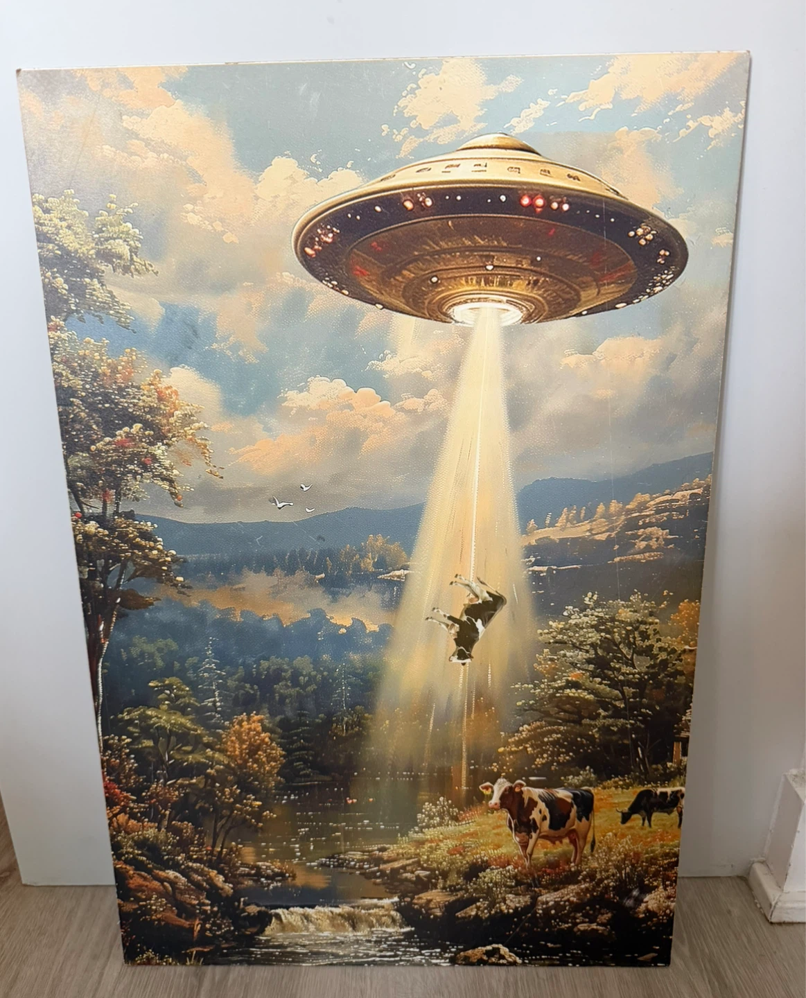 24” x 18” UFO Canvas Print / Wall Art 👽