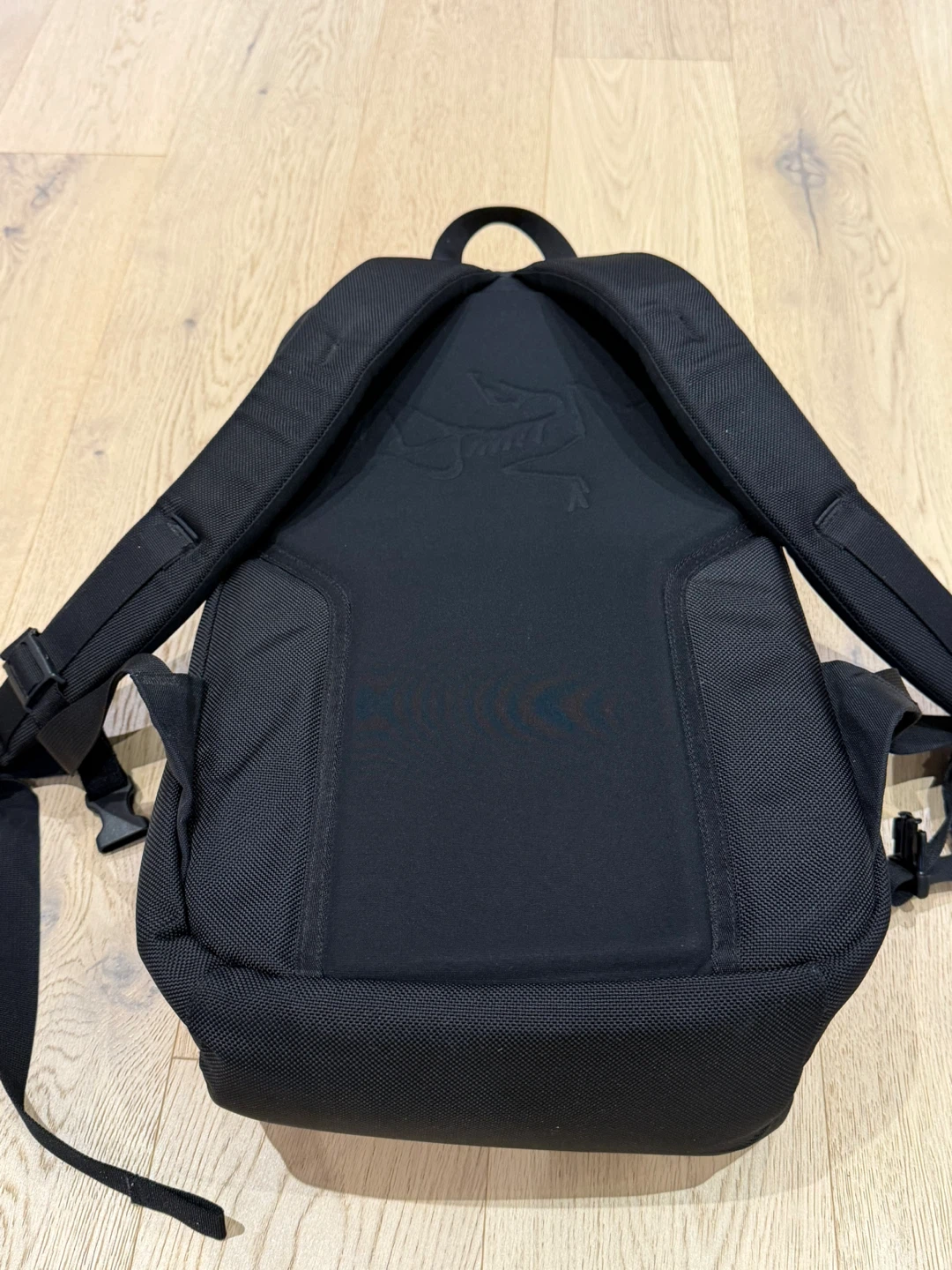 Arc'teryx Blade 21 Backpack - photo 3