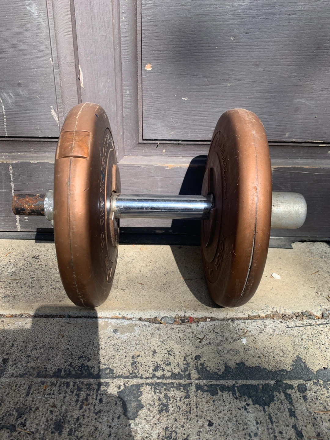 20lb Dumbbell w. Rotating Bar