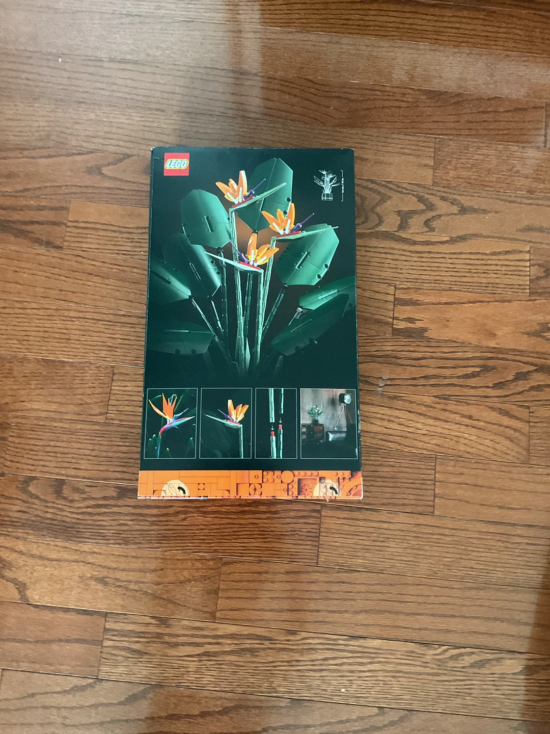 LEGO Bird of Paradise Building Set