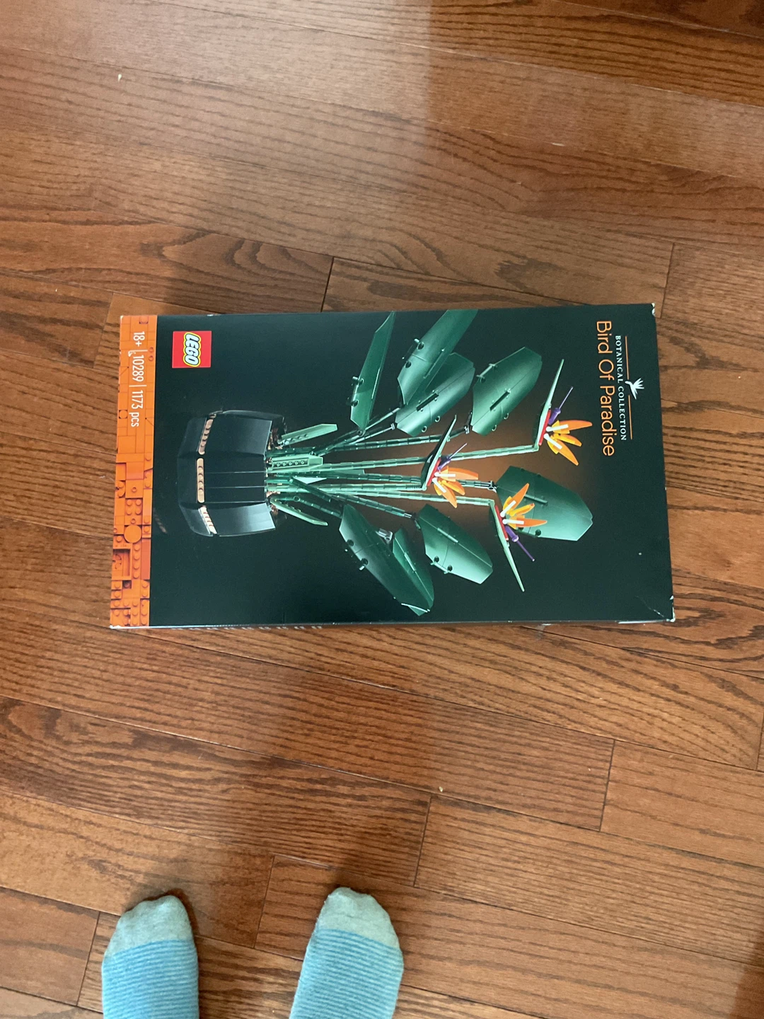 LEGO Bird of Paradise Building Set - photo 2