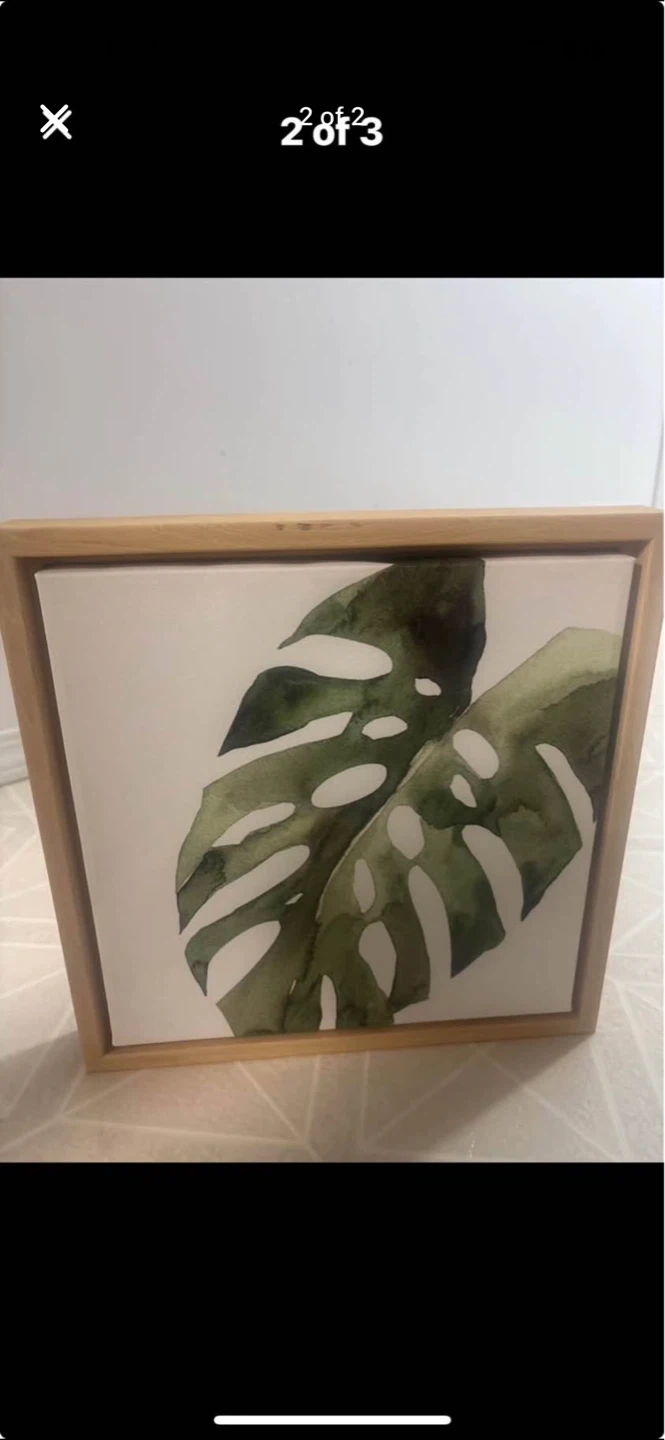 DesignOvation Sylvania Monstera Tropical Framed Canvas Art 12" - photo 2