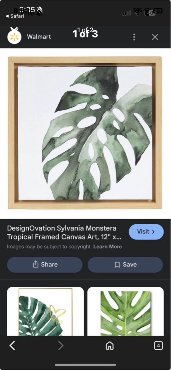 DesignOvation Sylvania Monstera Tropical Framed Canvas Art 12"