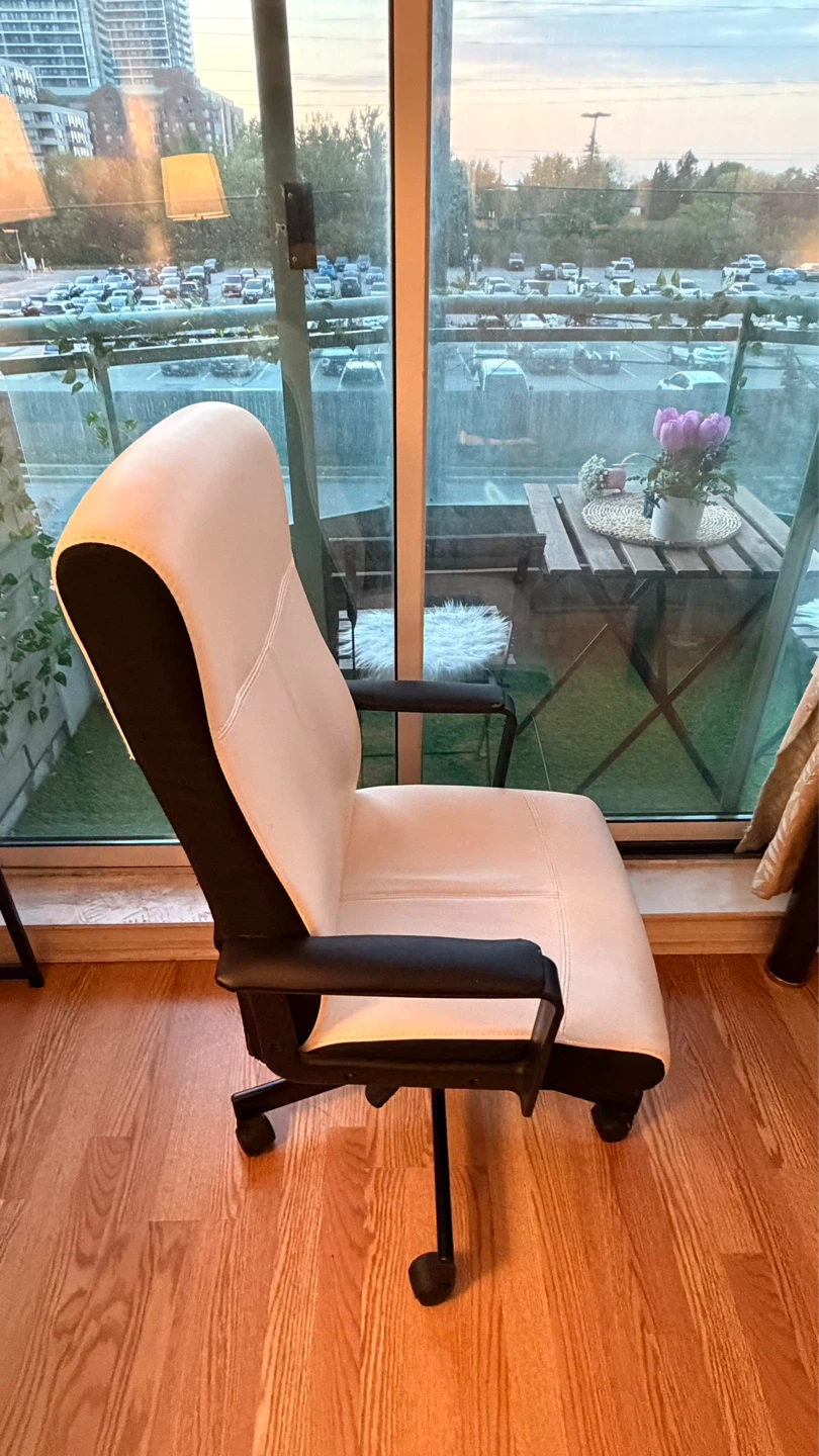 HOME OFFICE SETUP - photo 4
