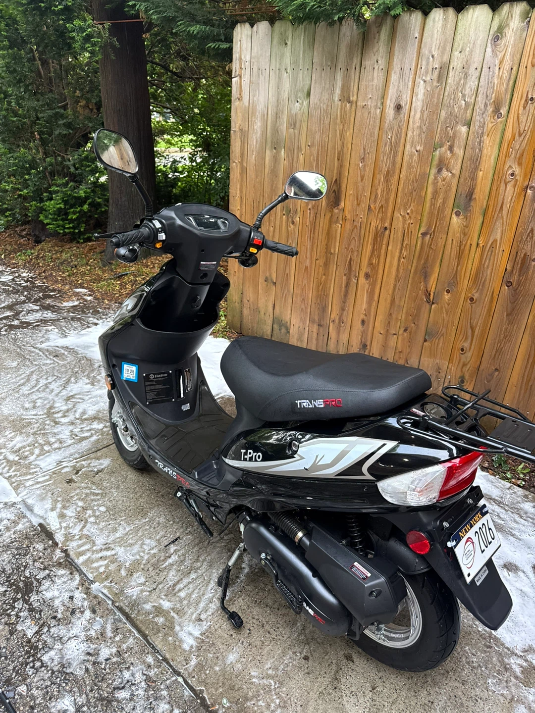 Moped 2023 - photo 2