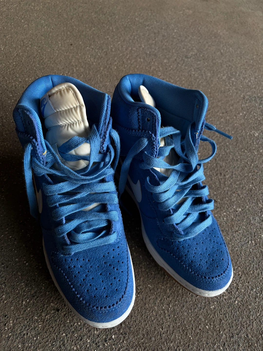 Nike Dunk High Top Sneakers - Royal Blue