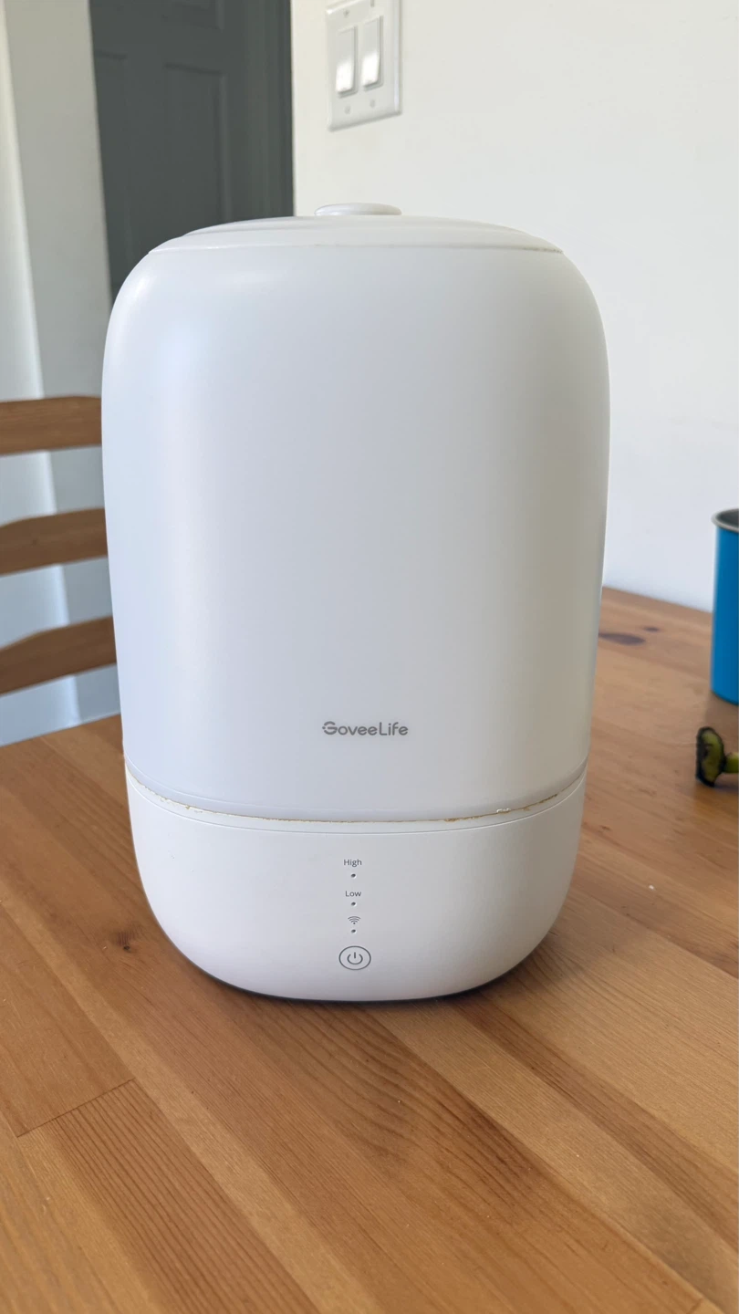 GoveeLife Humidifier