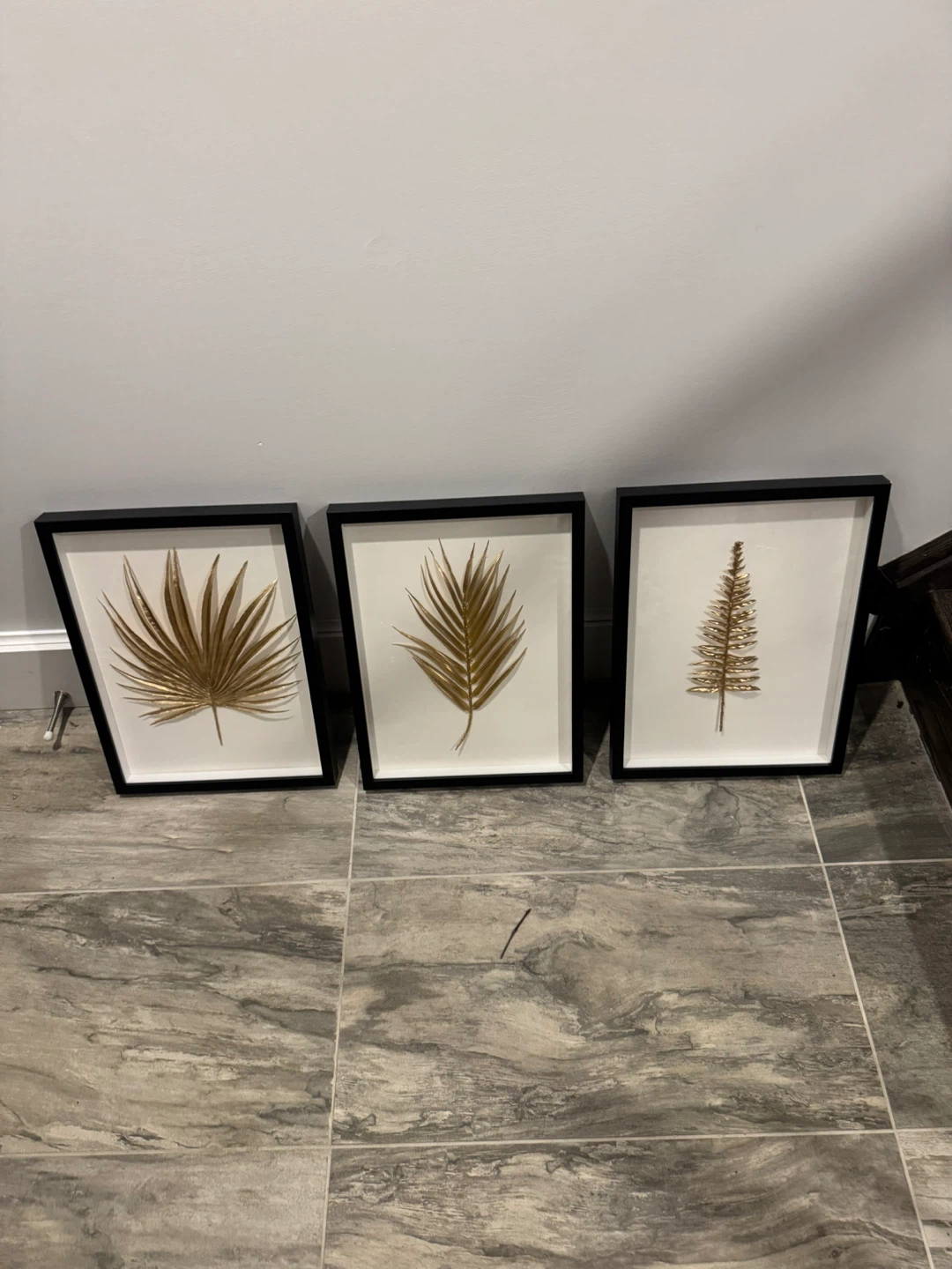 Set of 3 Framed Botanical Prints