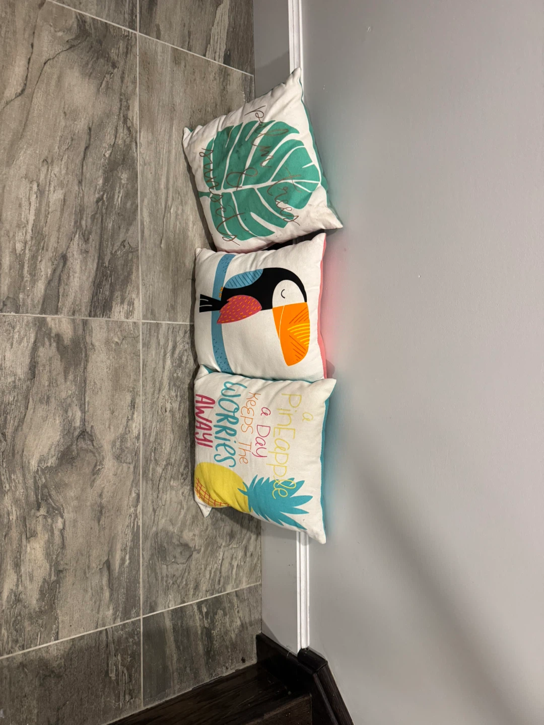 Outdoor Decorative Accent Pillows