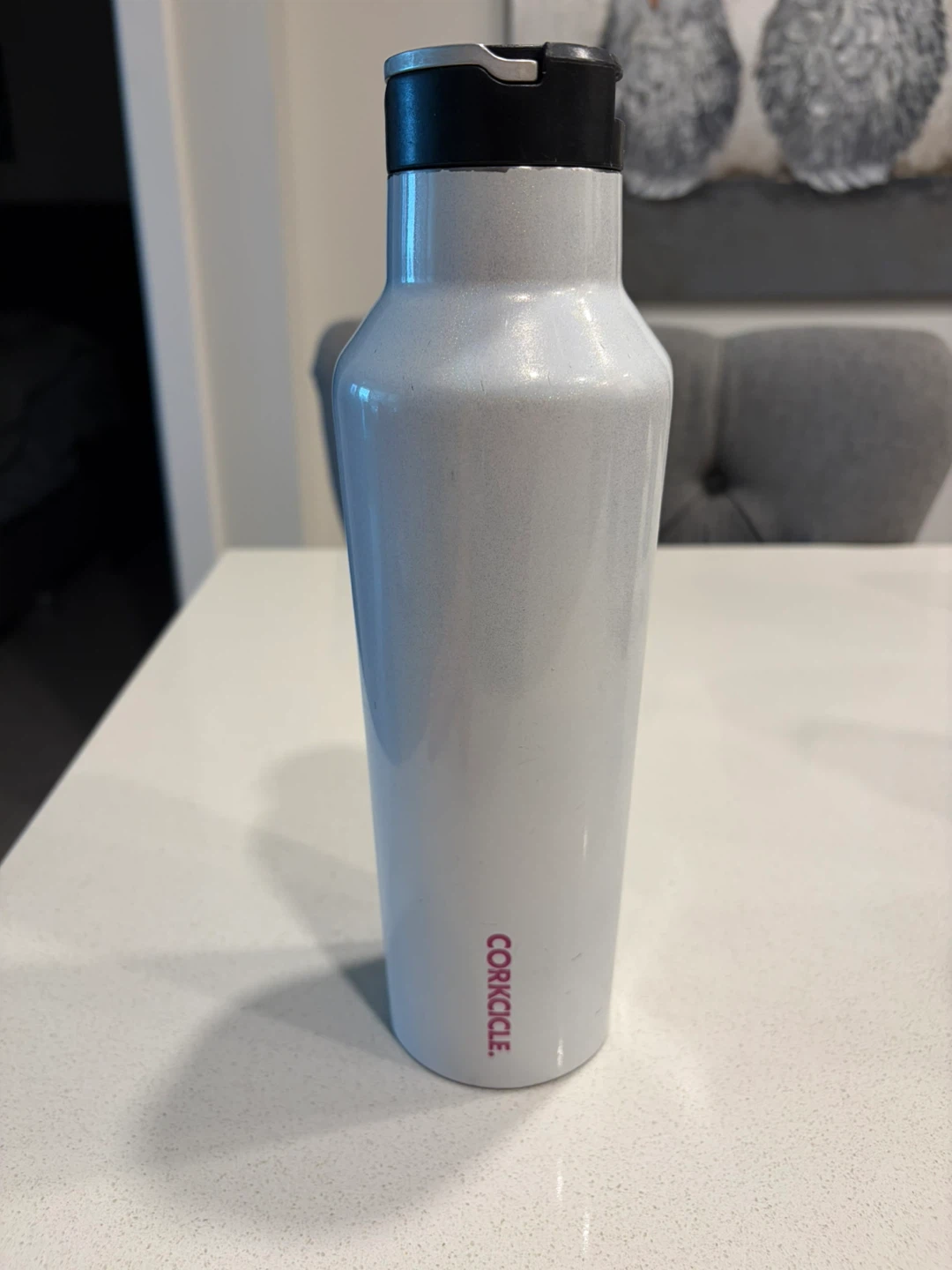 CORKCICLE White Water Bottle