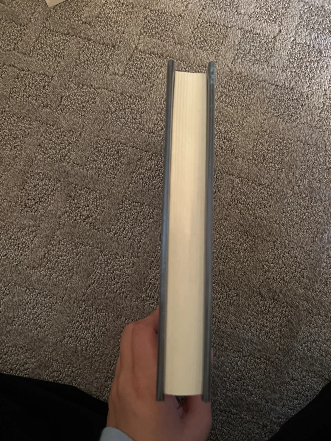 Book: Royal Bastards by Andrew Shvarts - photo 3