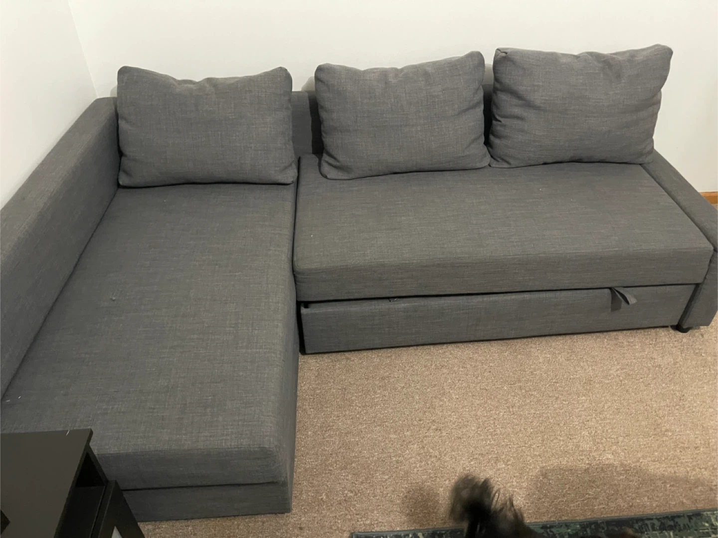 Grey Sectional Sofa with Pull-out Bed