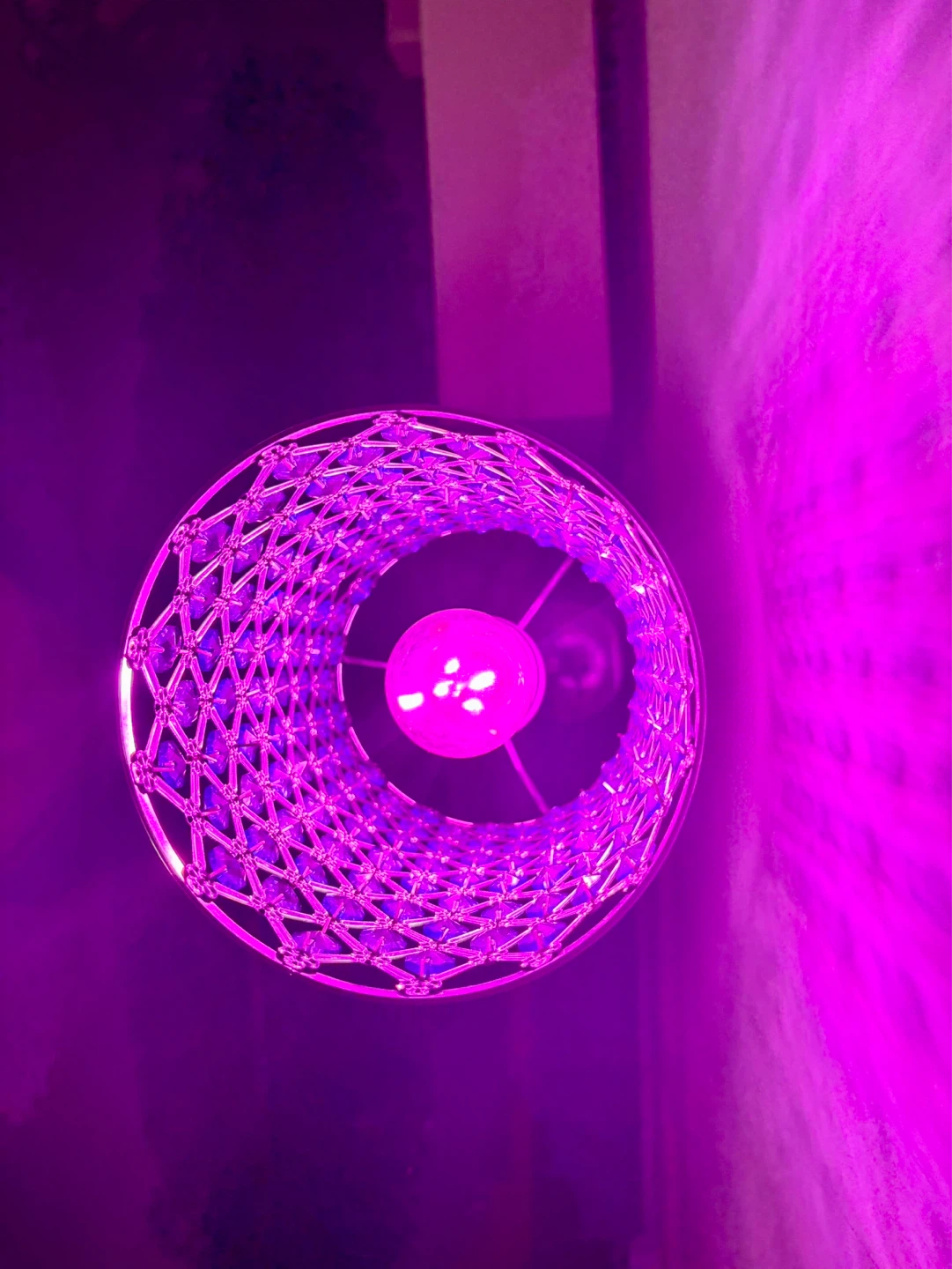 Crystal Accent Floor Lamp - photo 4