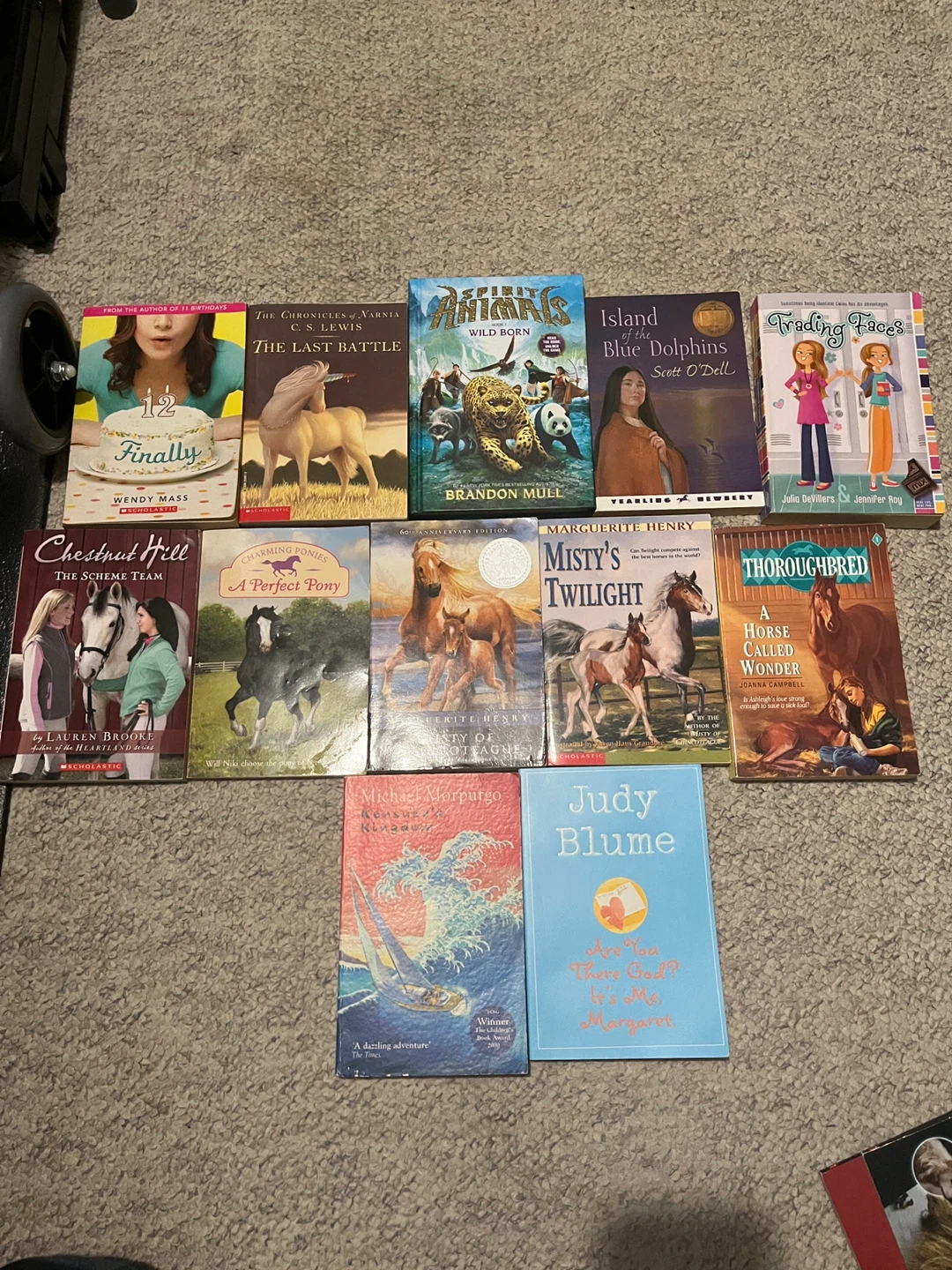 Kids chapter books - Ages 8-12