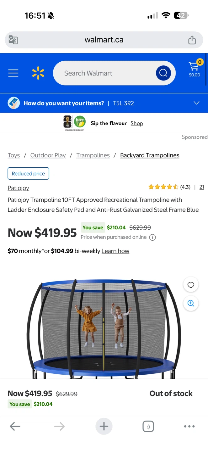 Patiojoy 10FT Trampoline Frame and Mat Parts - photo 4