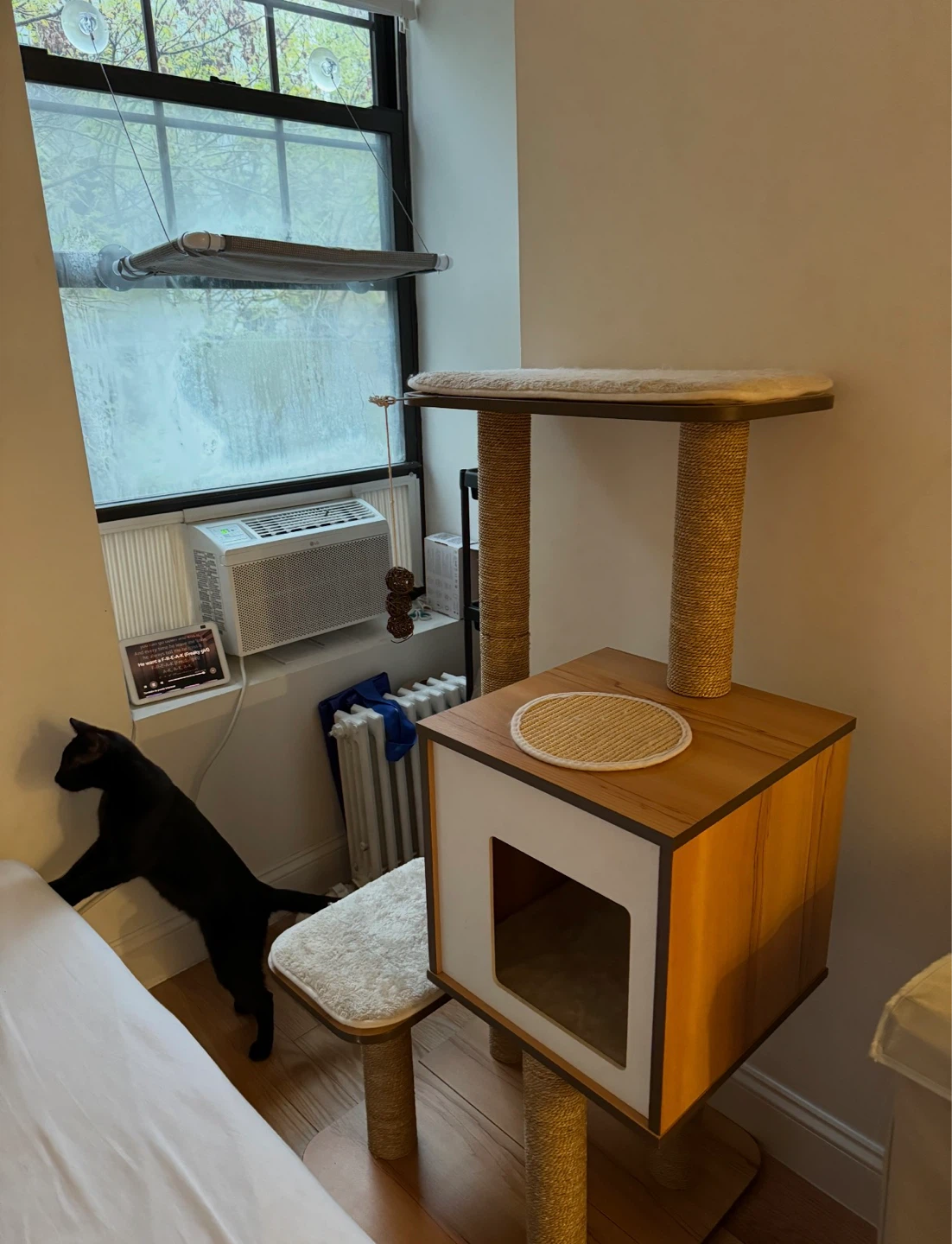 EVERYTHING MUST GO!! (read description) - photo 3