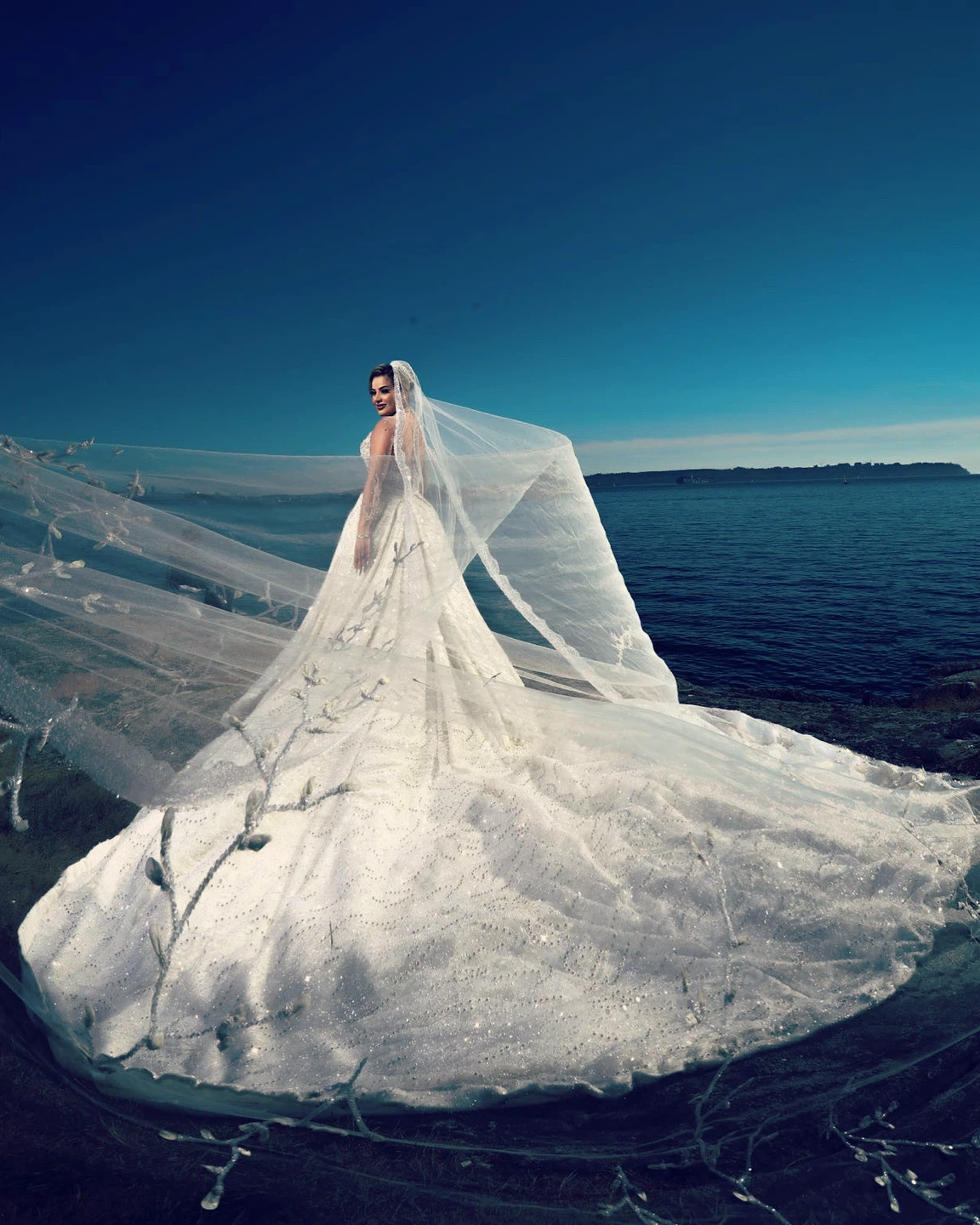 Sparkly White Wedding Dress with Veil