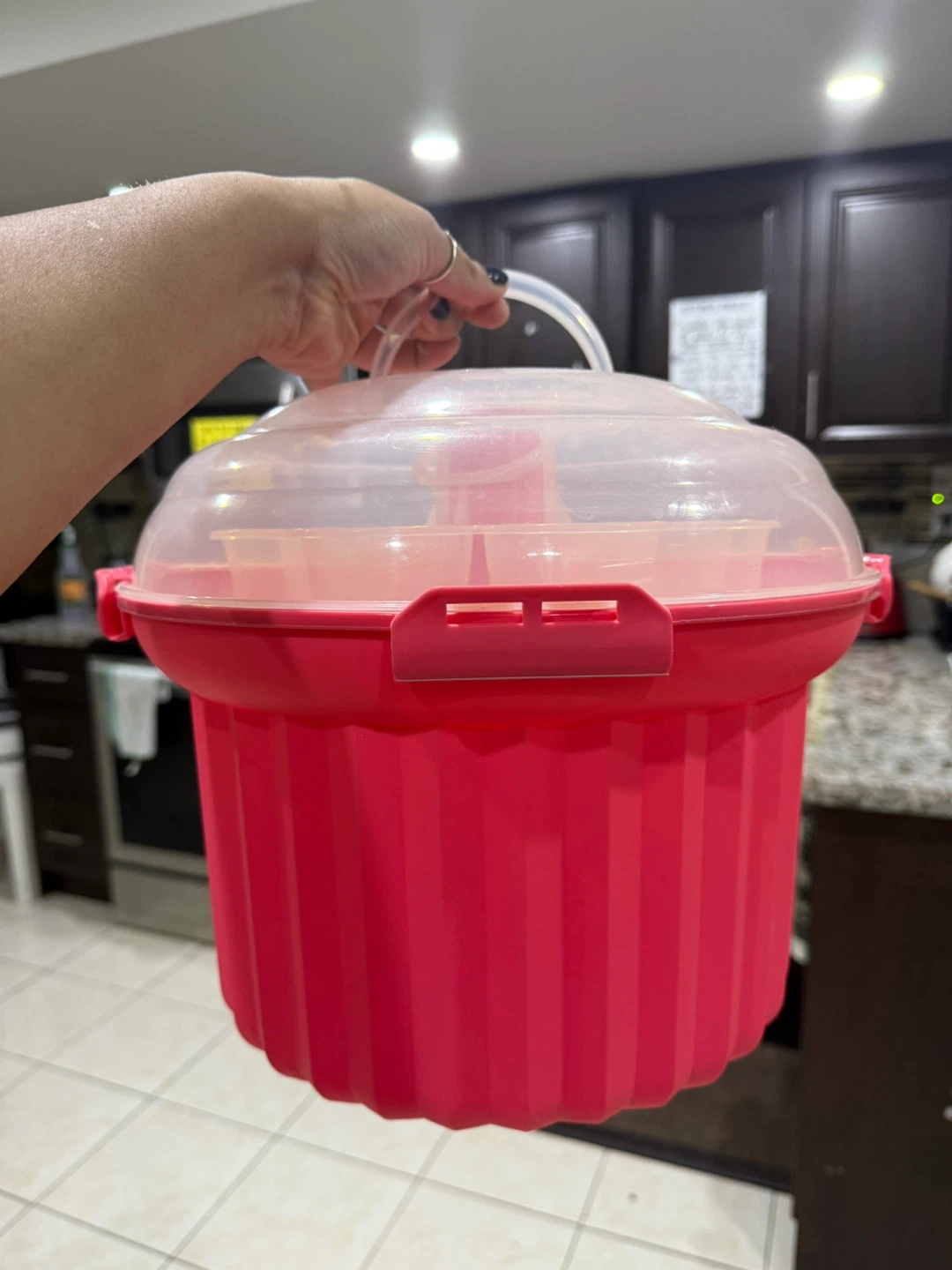 Like New Cupcake Storage