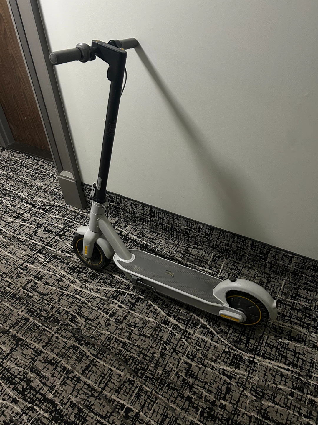 Ninebot Electric Scooter