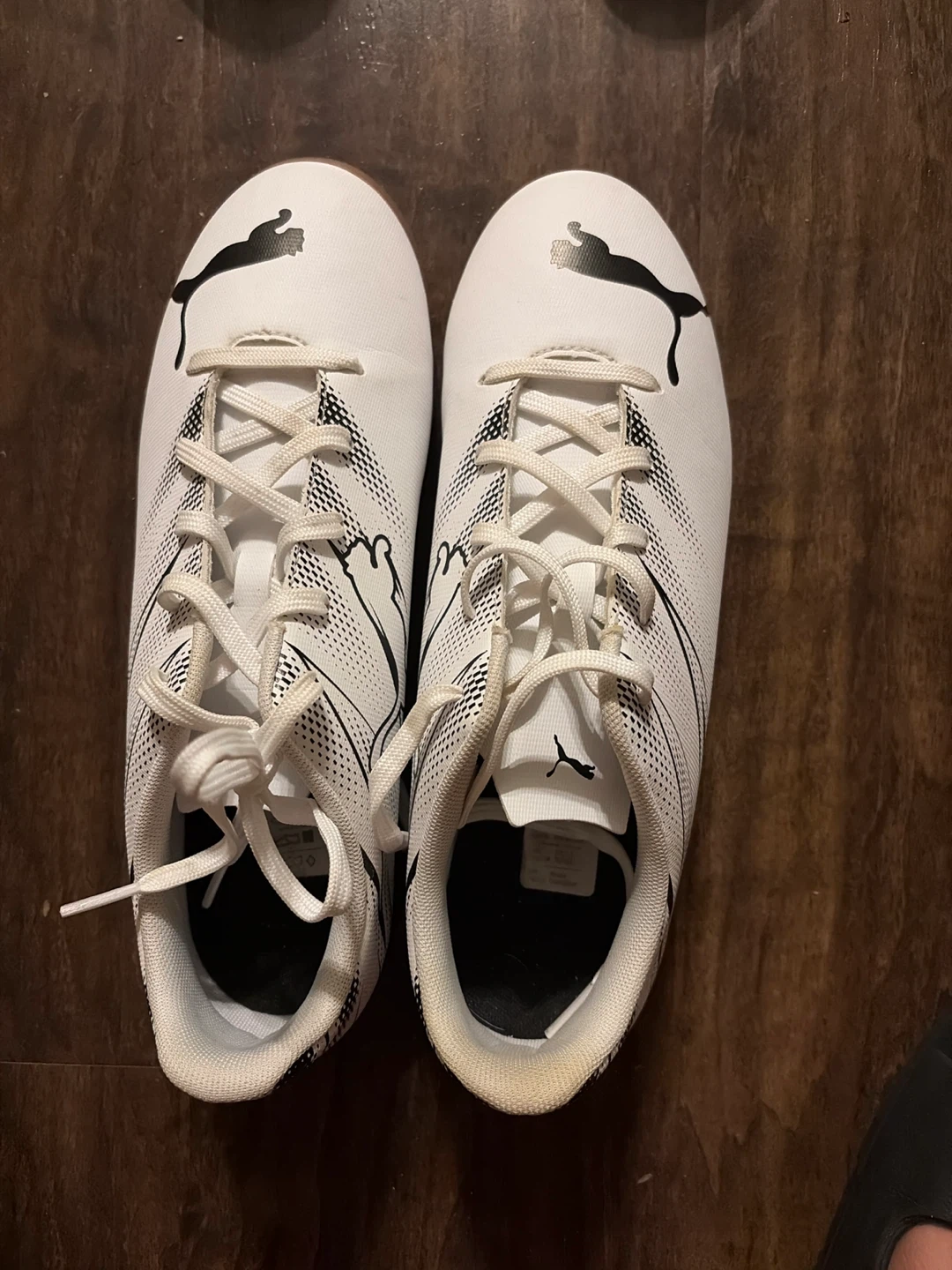 Puma Indoor Soccer Shoes