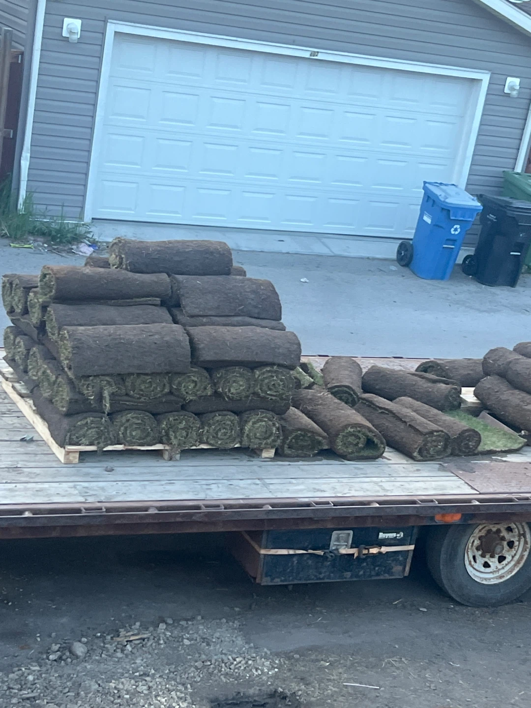 Grass Sod