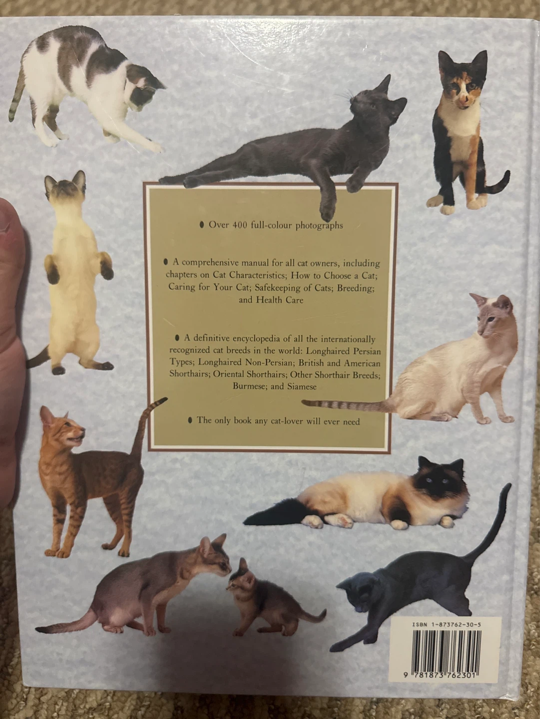 The Complete Cat Book by Paddy Cutts - photo 2