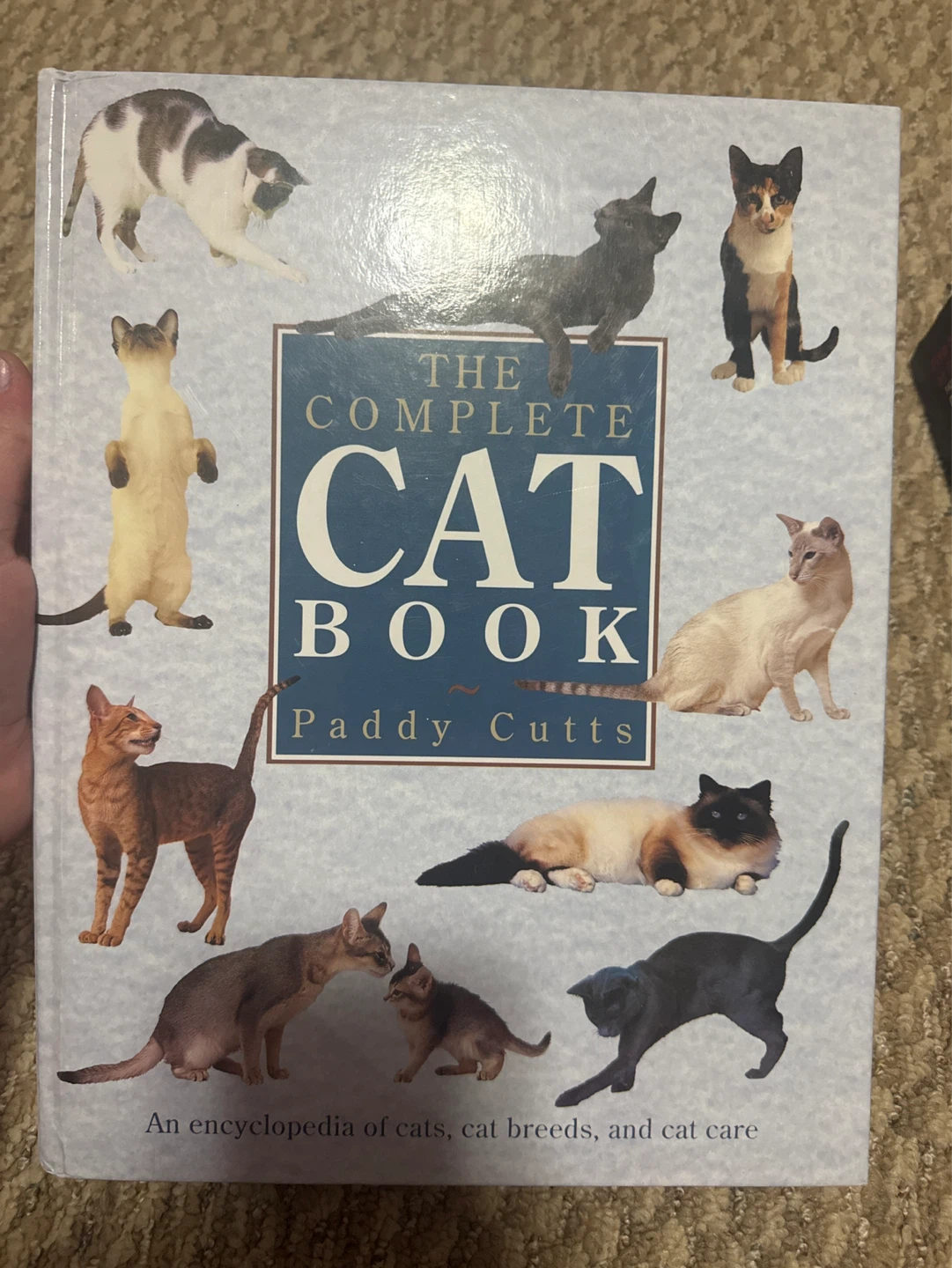 The Complete Cat Book by Paddy Cutts