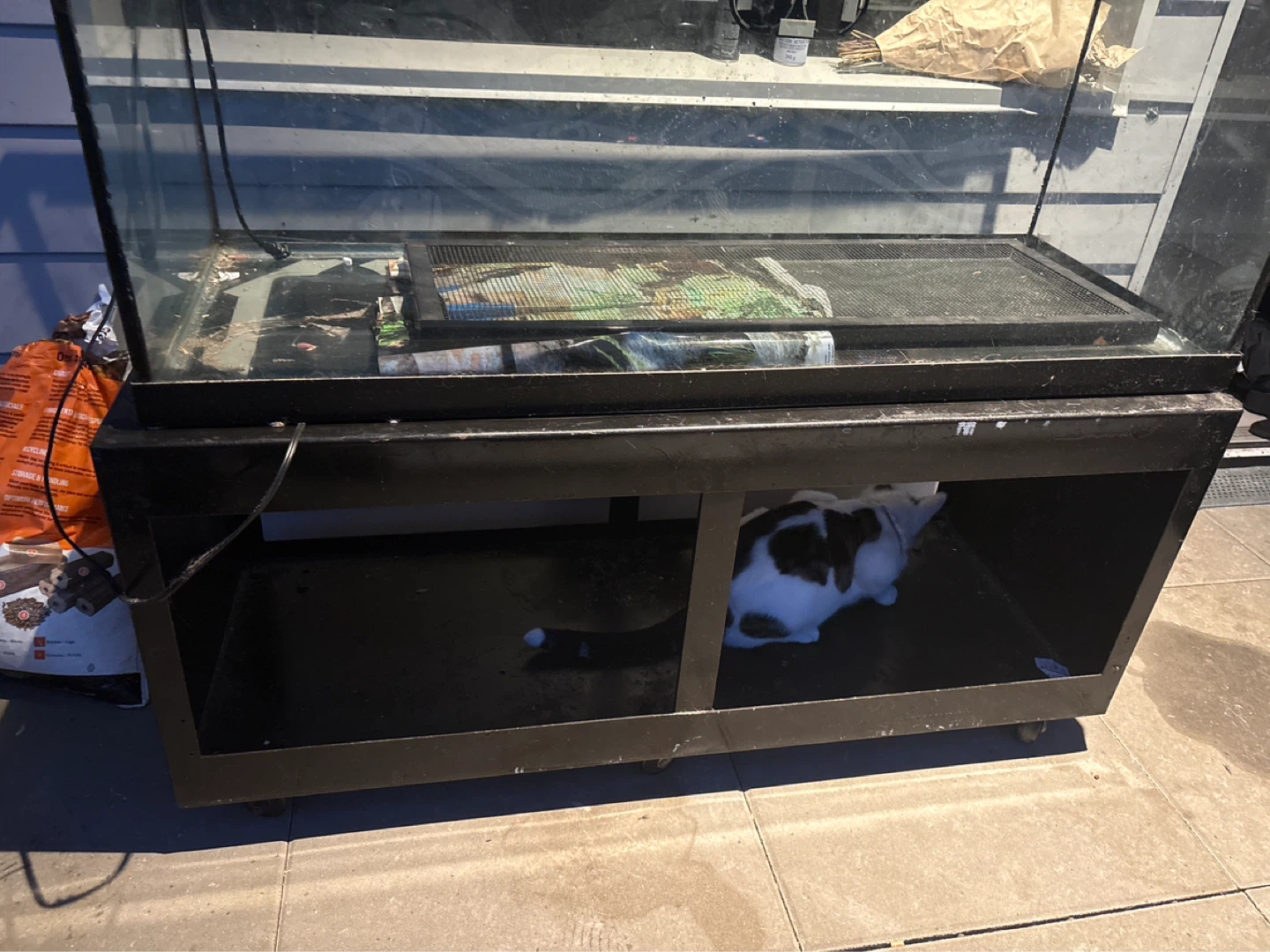 Large Glass Terrarium with Stand - photo 3