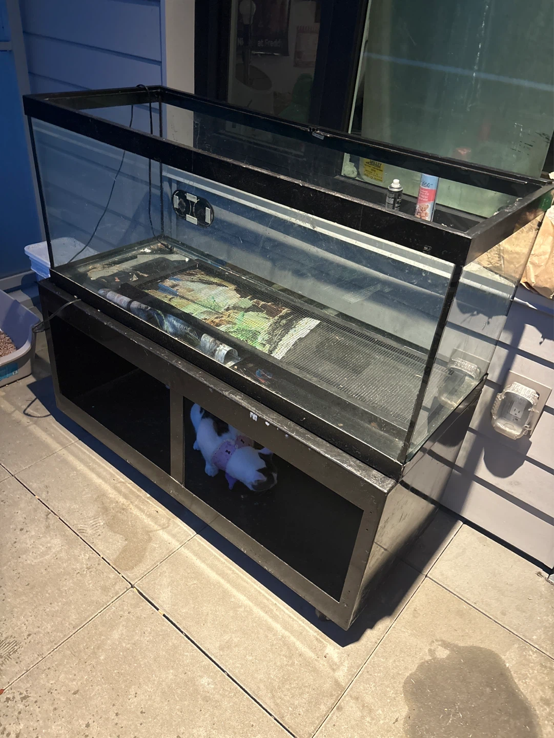 Large Glass Terrarium with Stand