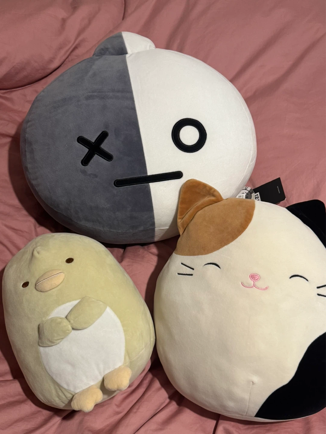 BT21 Plush & other