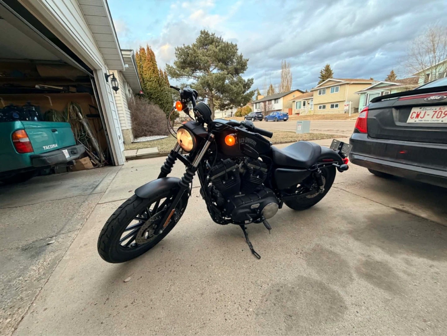 2016 Harley-Davidson IRON 883 - photo 3