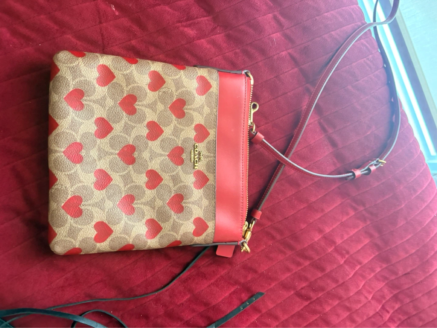 Coach Heart Print Crossbody Bag