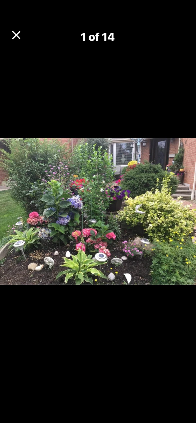 Legal 2 bedrooms apartment for rent
