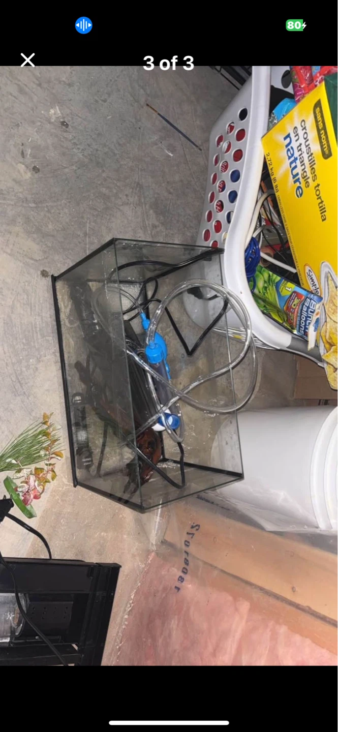 Aquarium Heater and Tank